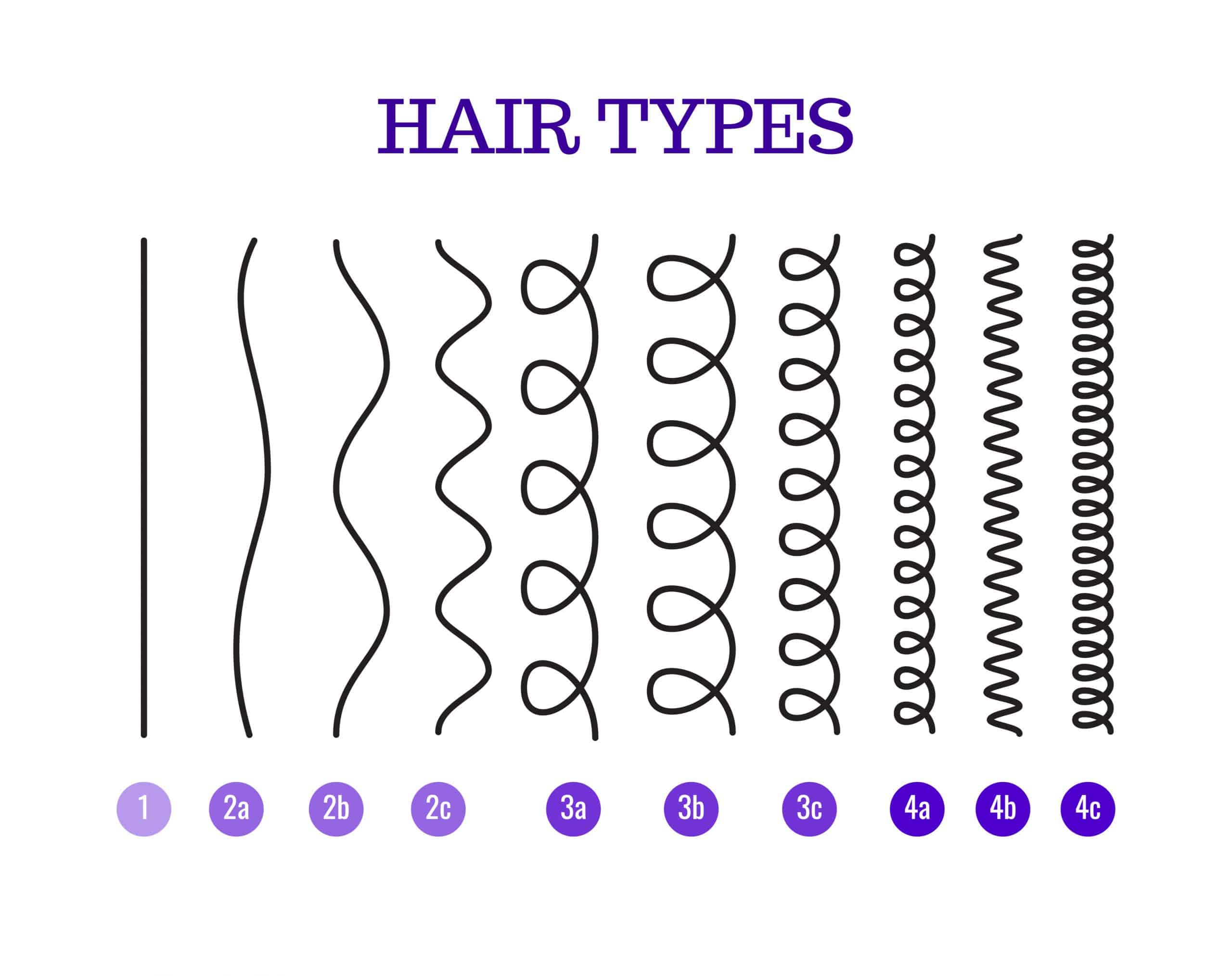 drawing of different hair types