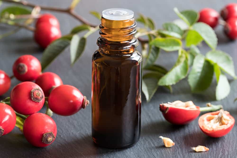 The 10 Best Rosehip Oils for Your Face in 2022 Beauty Mag