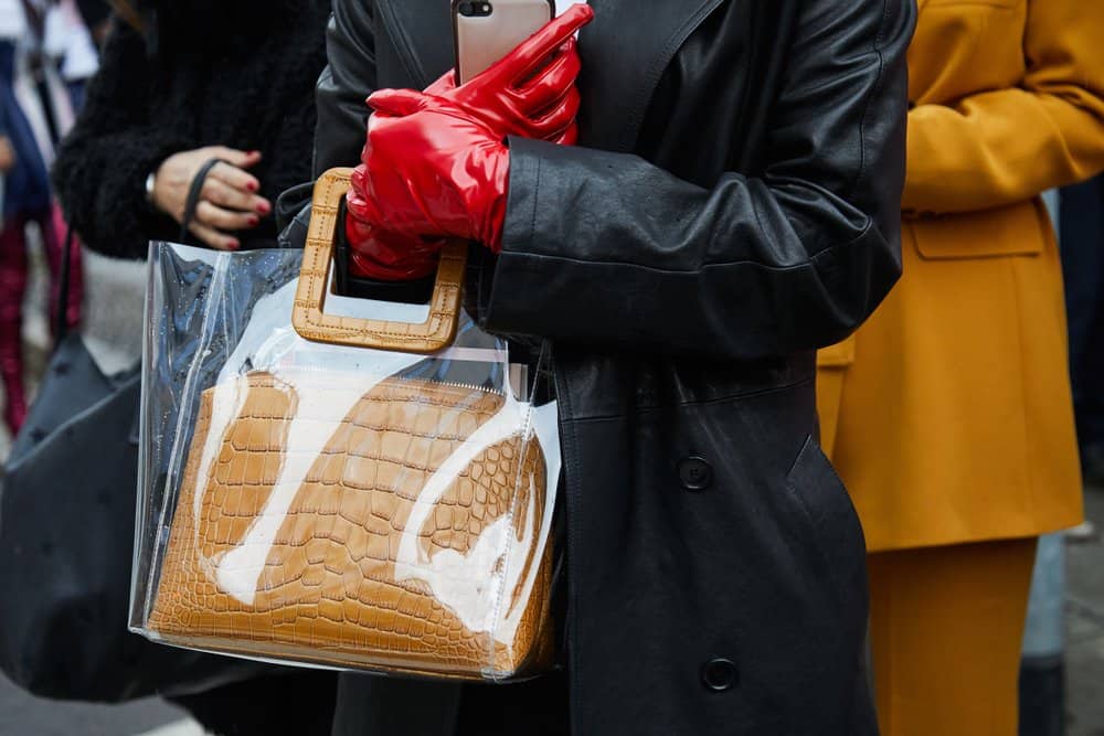 fashionable woman with transparent bag