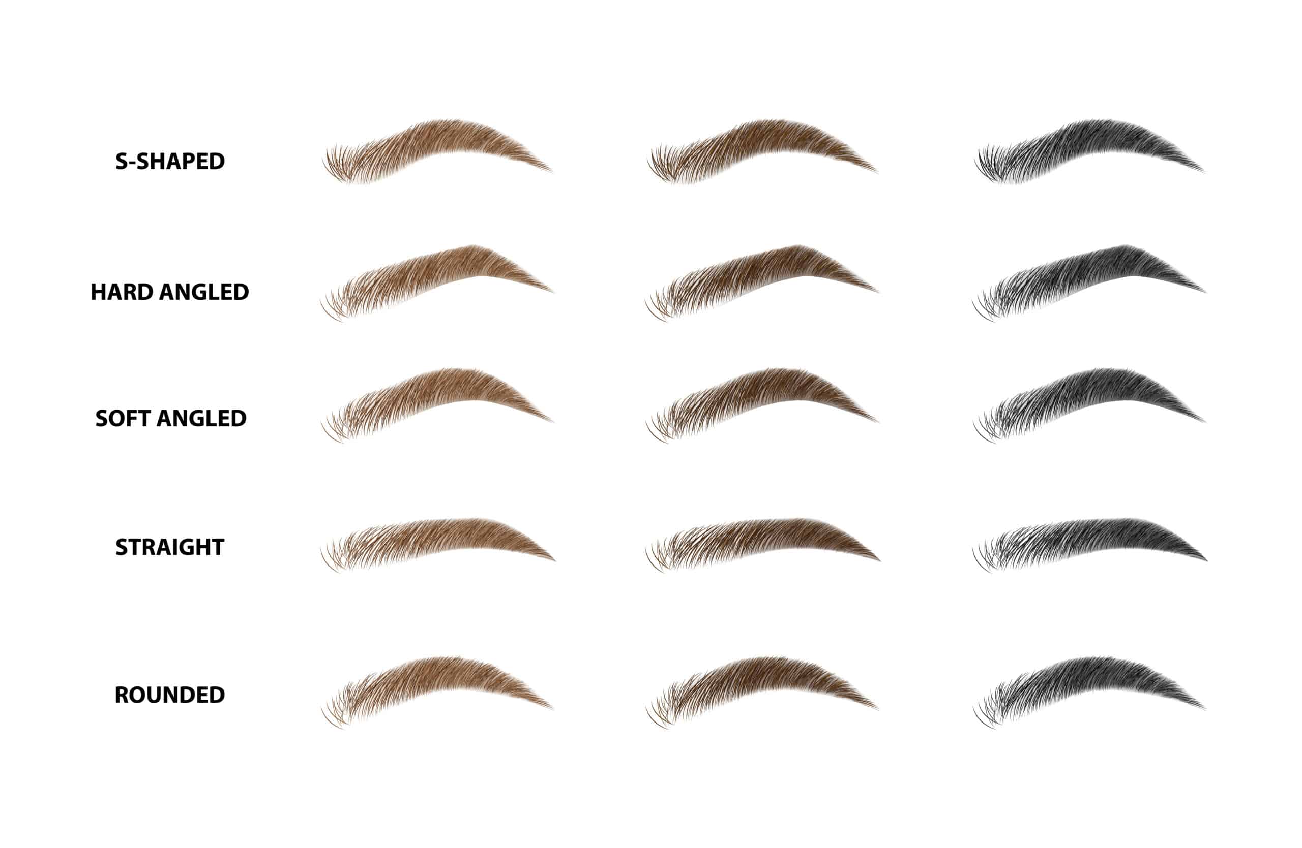 variety eyebrow shapes