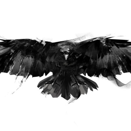 The History and Meaning of the Raven Tattoo