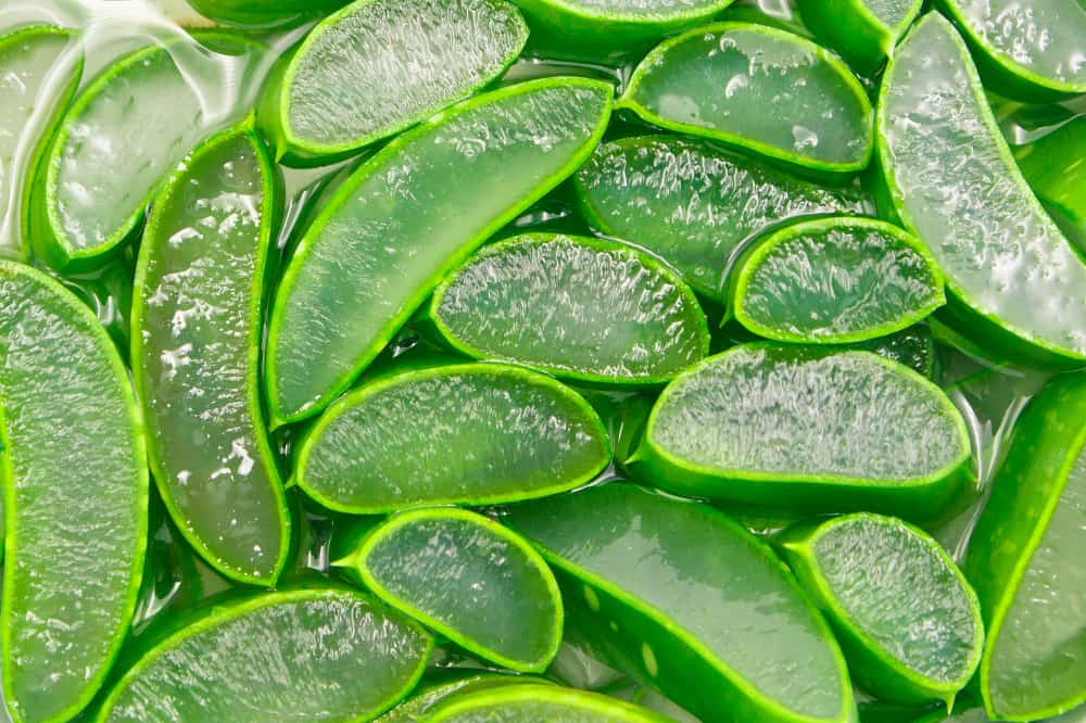 a pile of sliced aloe vera plants