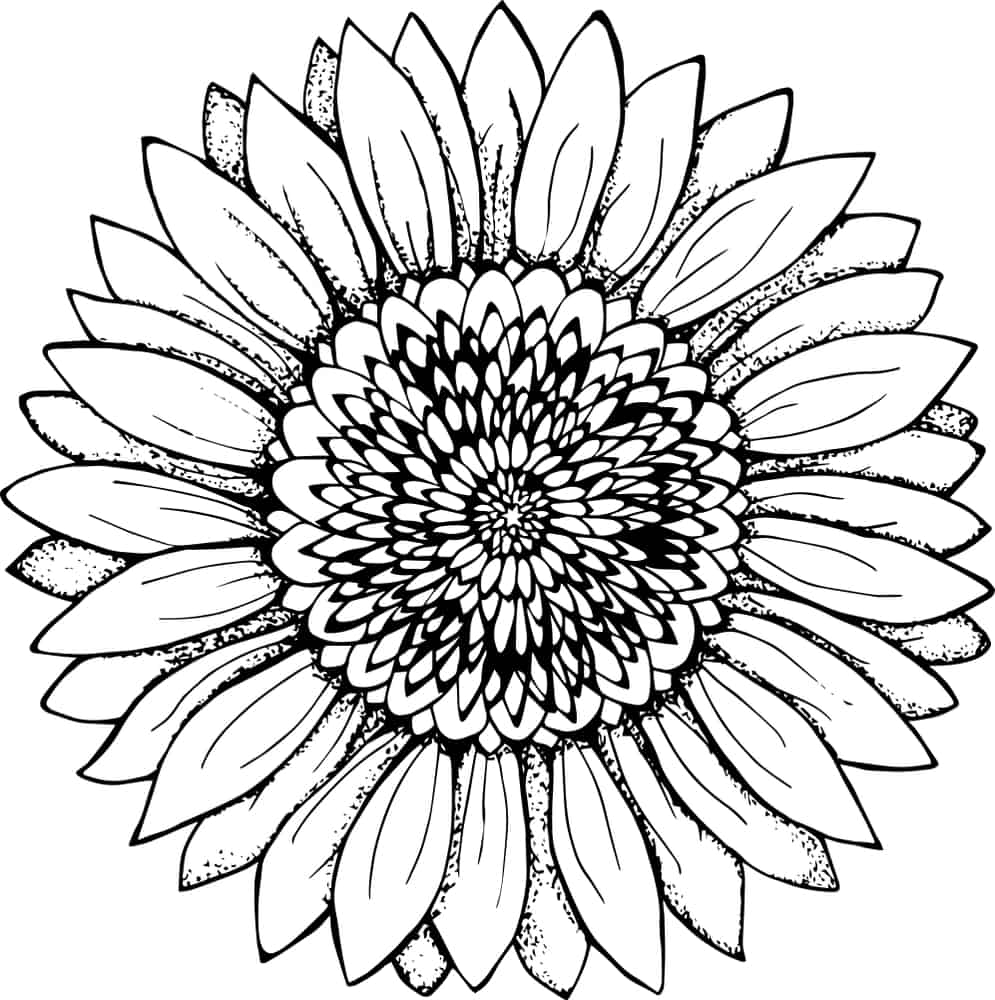 black and white sunflower tattoo illustration