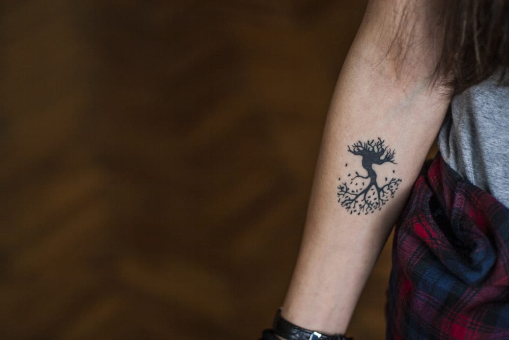 Wisteria In Progress  Vine tattoos Tattoos Inspirational tattoos