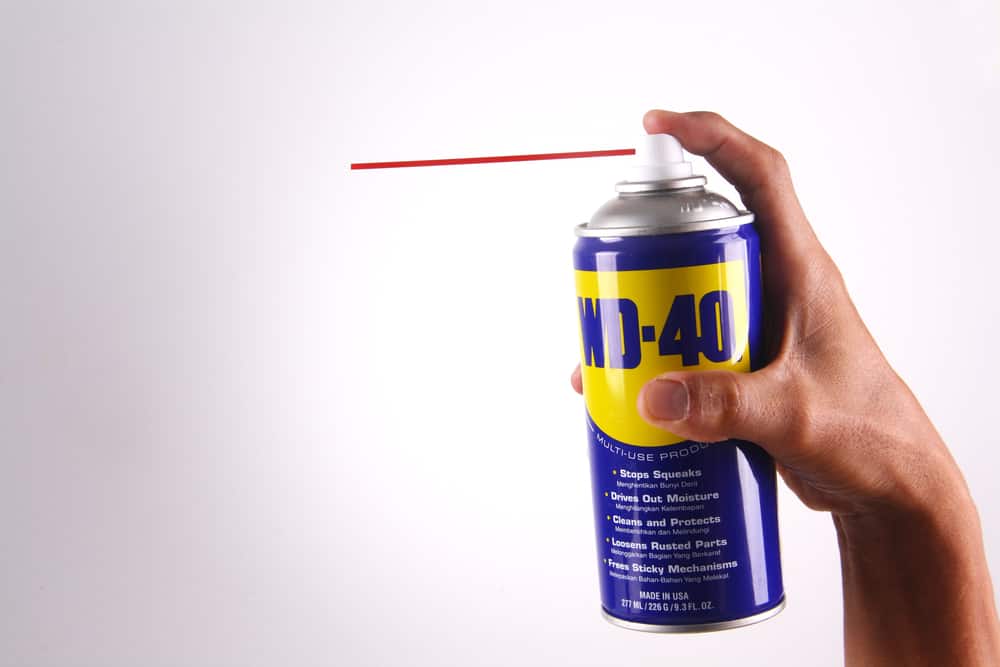 hand holding WD-40