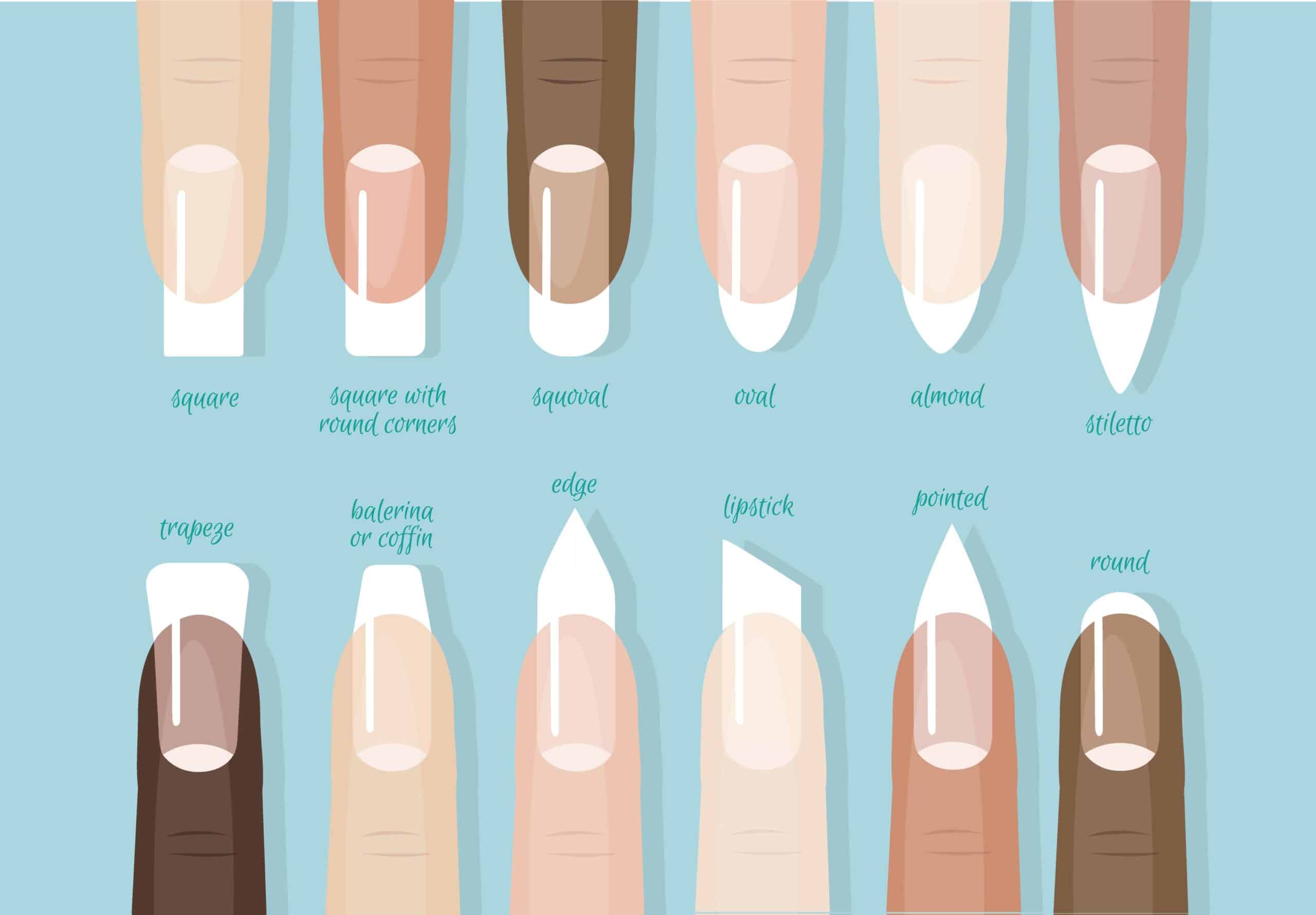 illustration of different nail shapes