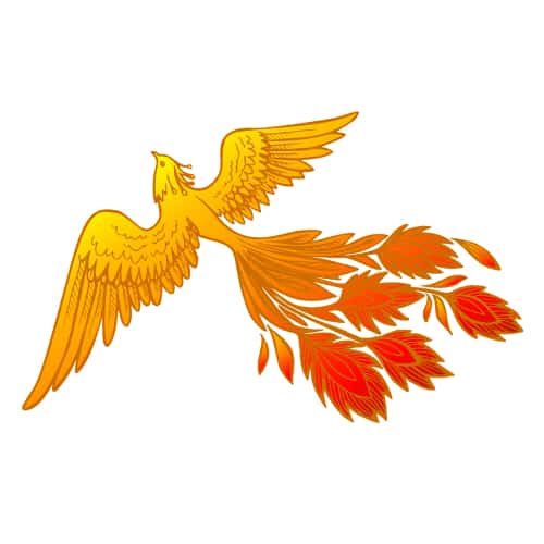 phoenix tattoo design