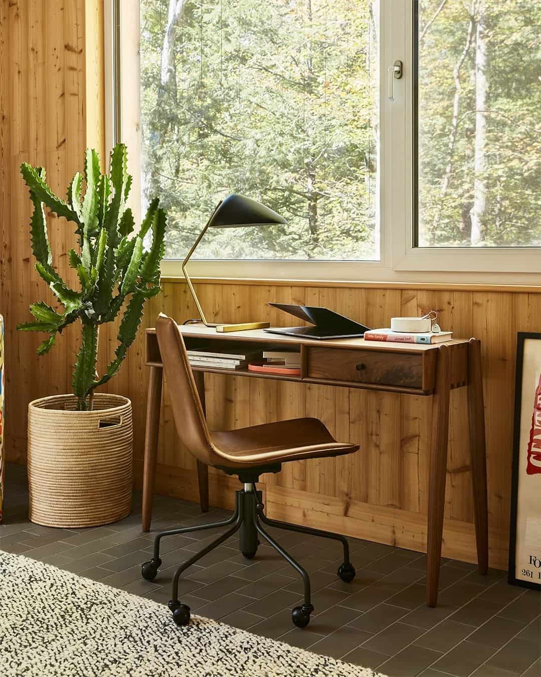 A small home office with a cactus plant