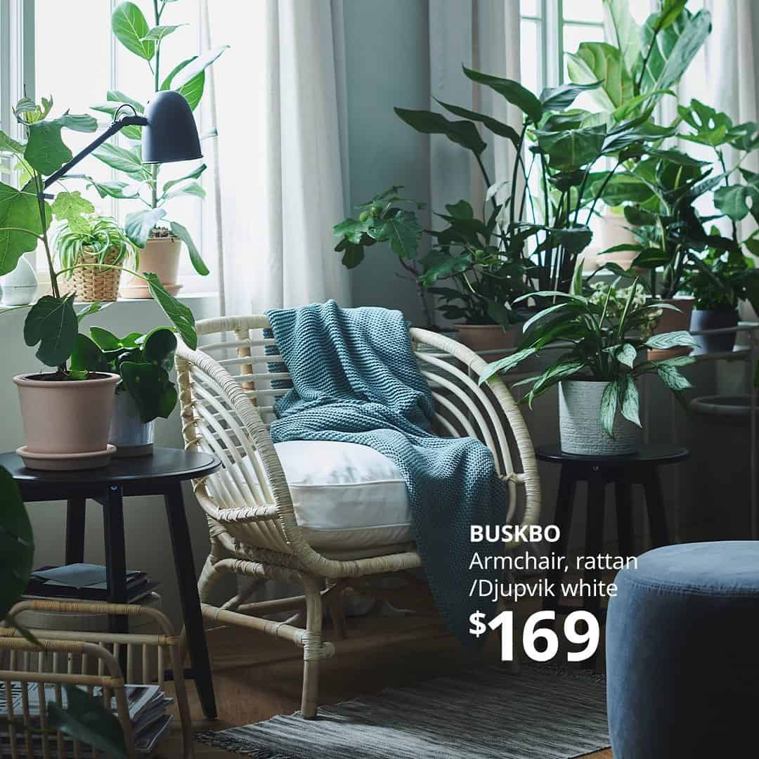 A white chair surrounded by plants