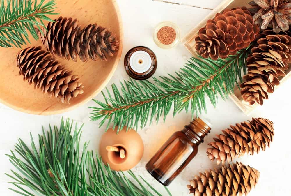 essential oils with pinecones and branches