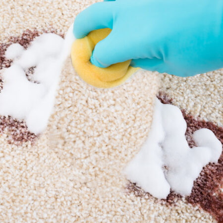 hands cleaning carpet stain