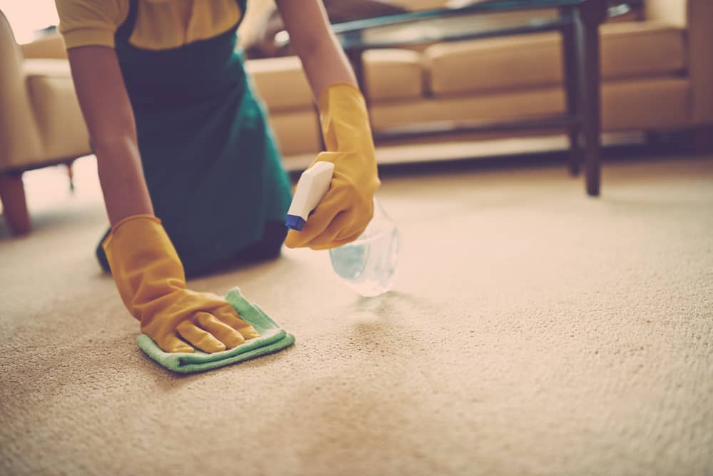 person removing carpet stain