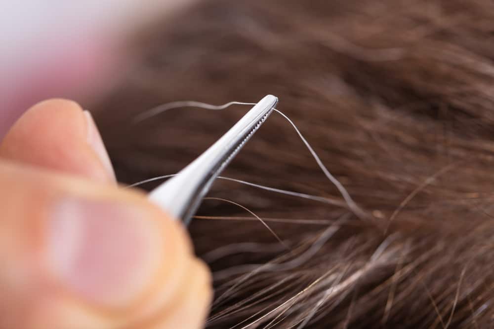 woman tweezing out grey hair