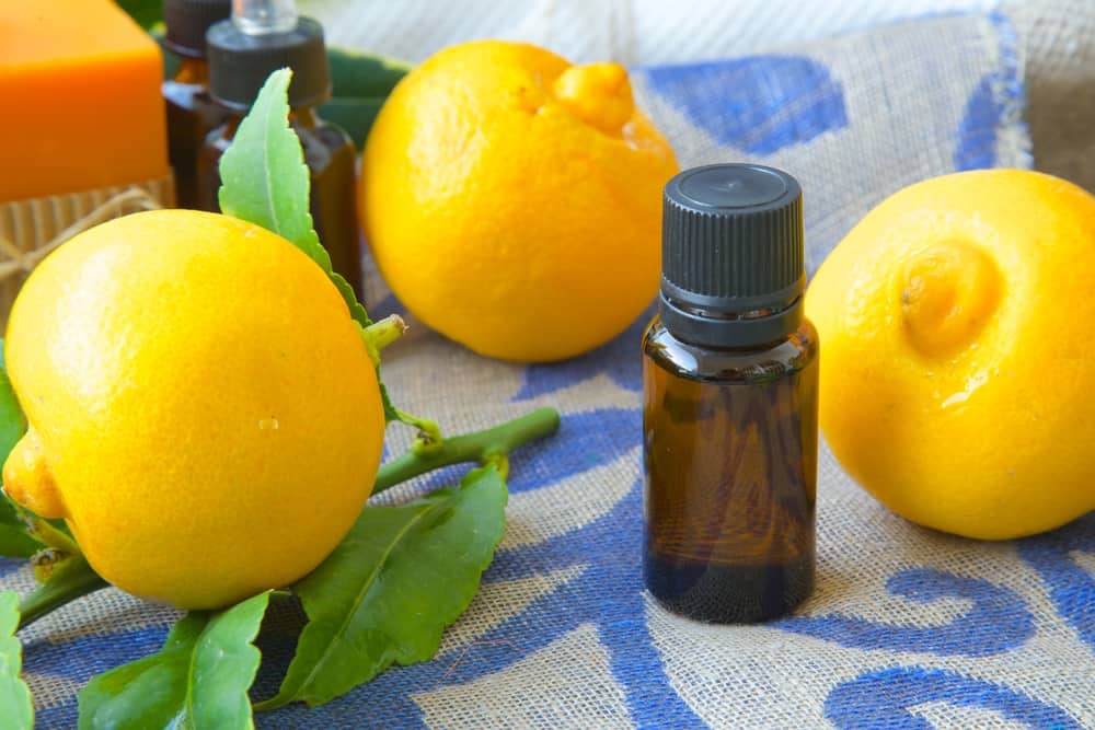 bergamot essential oil